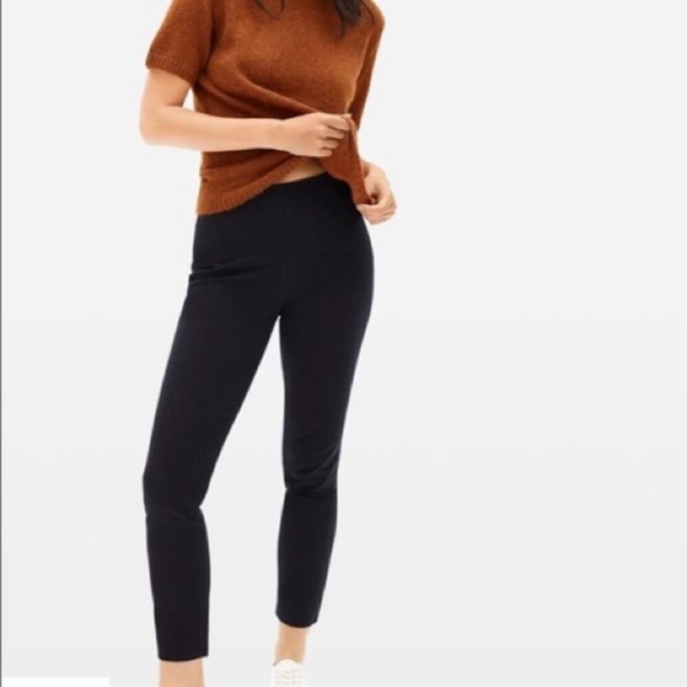 Everlane The Side Zip Washed Black High Rise Crop Skinny Pant Size 10